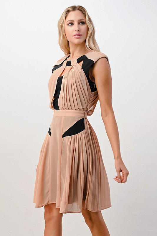 Gia Color Blocked Pleated Dress