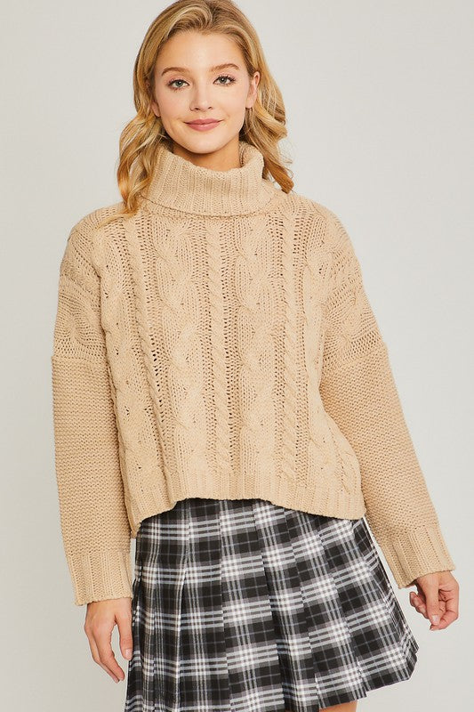 Benson Cable Knit Turtleneck Sweater