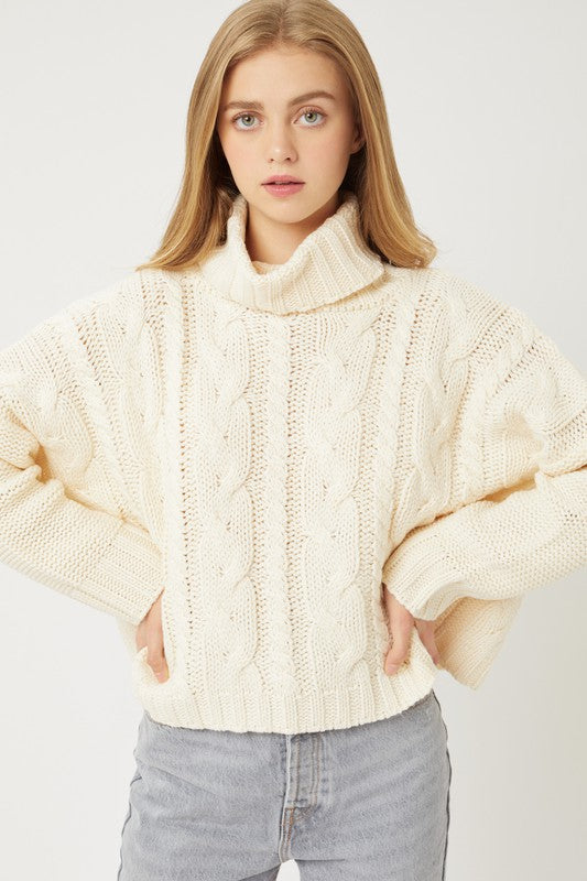 Benson Cable Knit Turtleneck Sweater