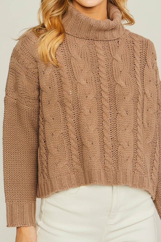 Benson Cable Knit Turtleneck Sweater