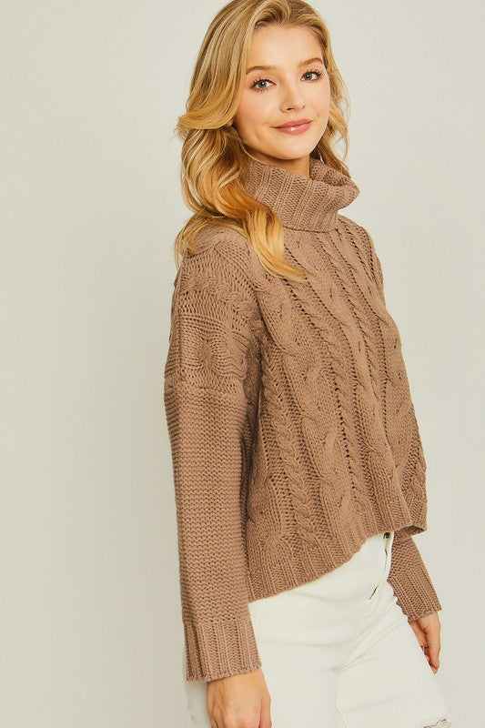 Benson Cable Knit Turtleneck Sweater
