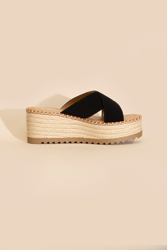 Serena Platform Slides
