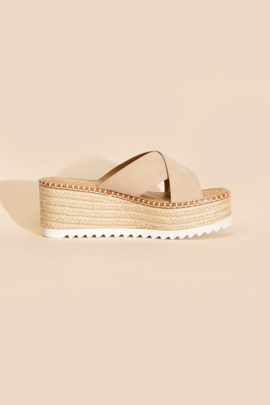 Serena Platform Slides