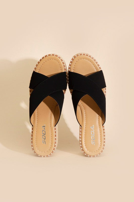 Serena Platform Slides