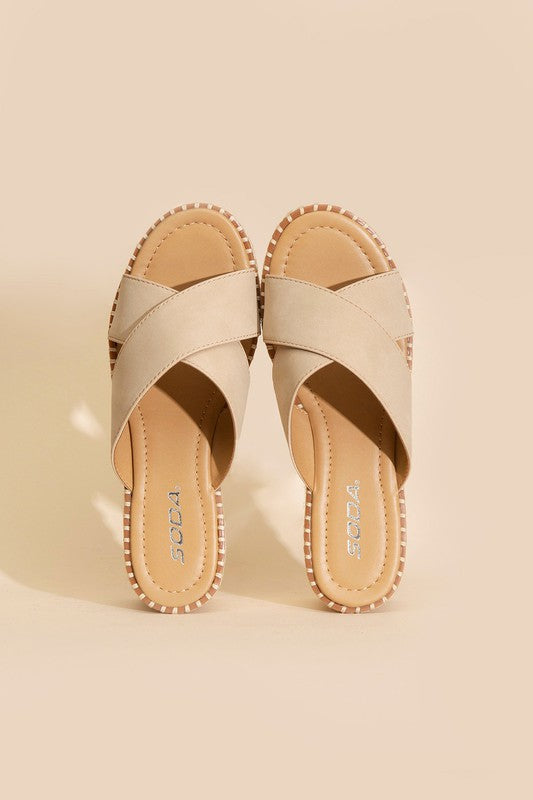 Serena Platform Slides