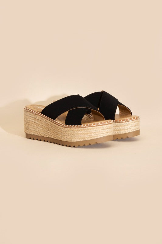 Serena Platform Slides