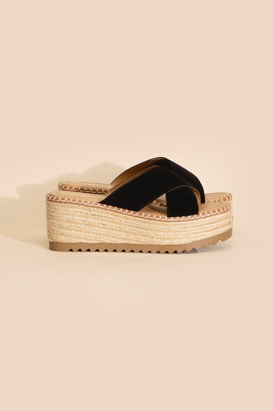 Serena Platform Slides