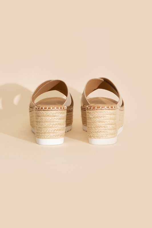 Serena Platform Slides