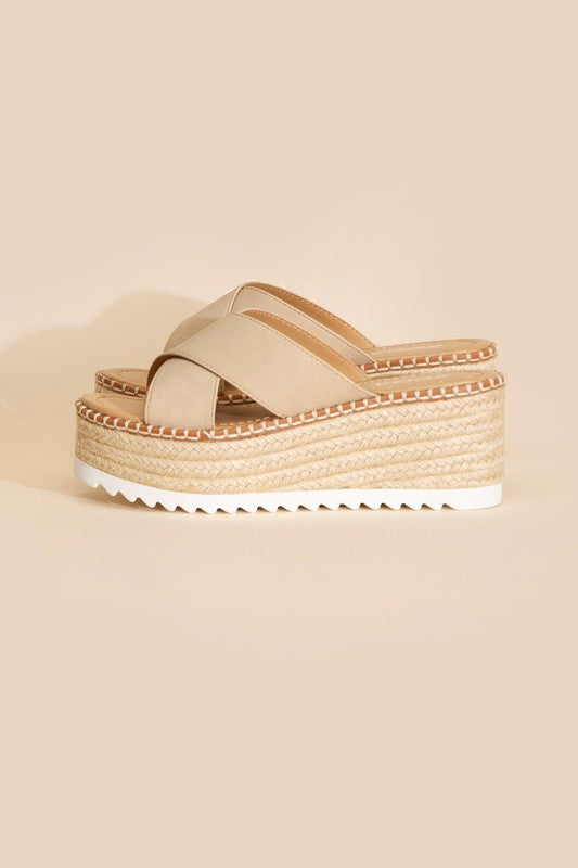 Serena Platform Slides