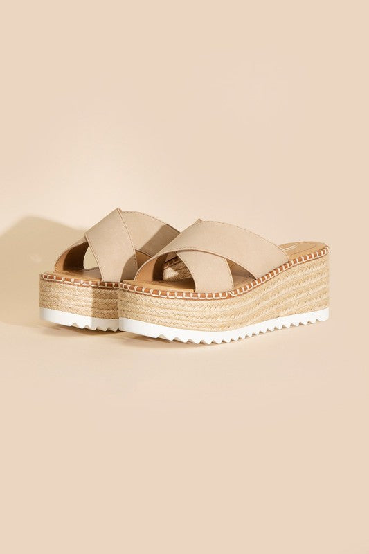 Serena Platform Slides